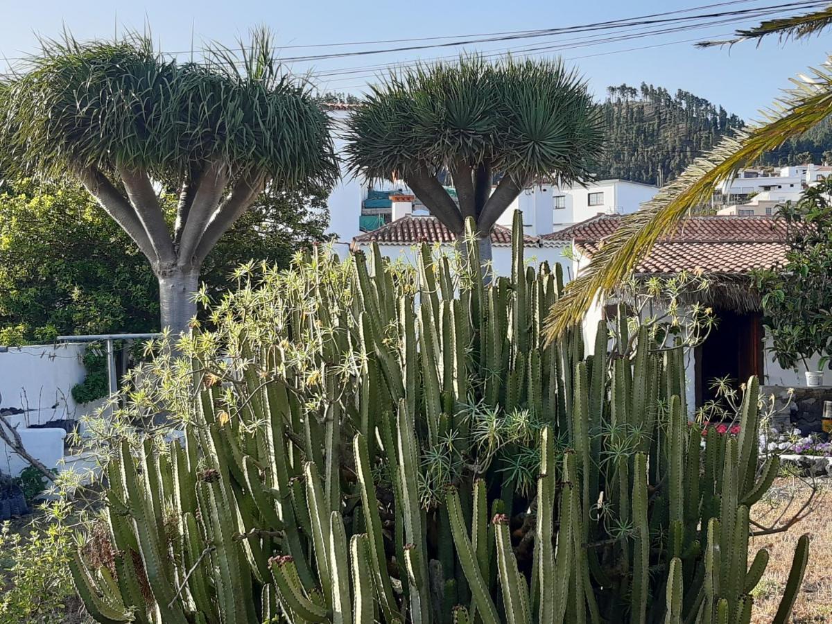 Casa Rural Los Dragos Fuencaliente de la Palma Bagian luar foto